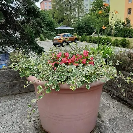 žlutý A6 V Chomutově *