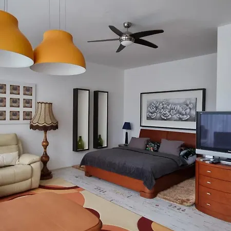 아파트 Zluty Apartman A6 V Chomutove *